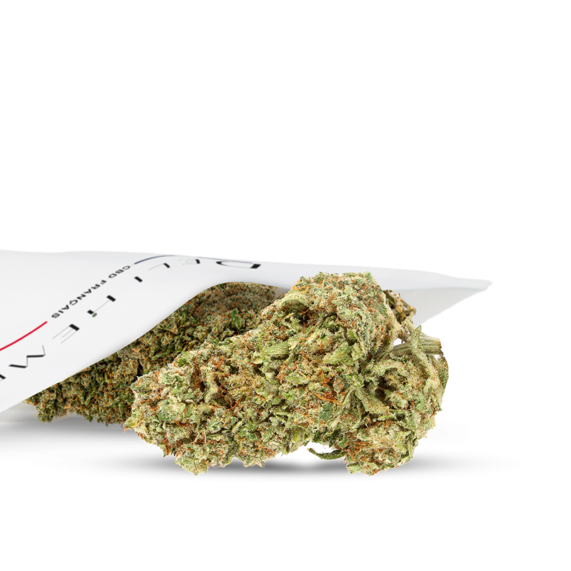 CBD Flower - Hydroponics