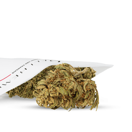 Fleurs CBD - Extérieur