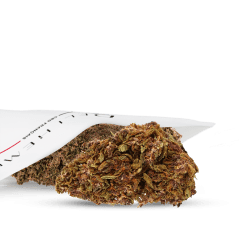 greenhouse cbd en gros