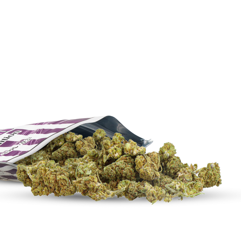 SMALL BUD INDOOR CBD GROSSHÄNDLER