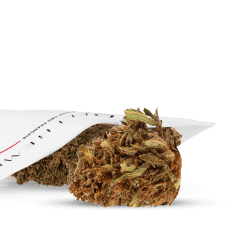 Fleurs CBD pas cher