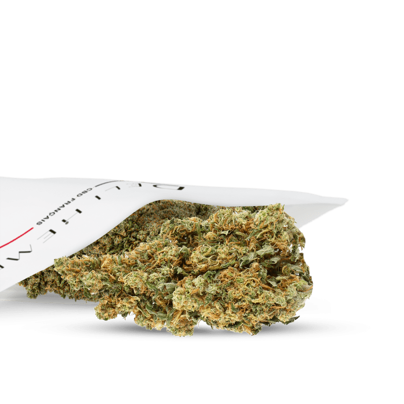 CBD Indoor Blume Günstig