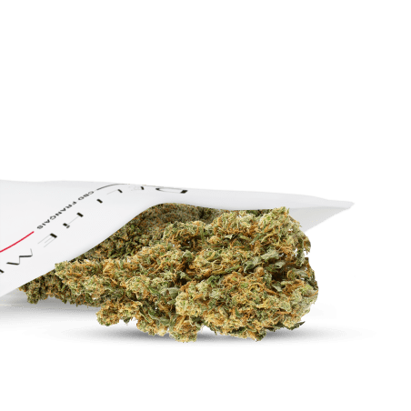CBD Indoor Blume Günstig