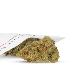 CBD FLORES - GLOOKIES - HYDRO