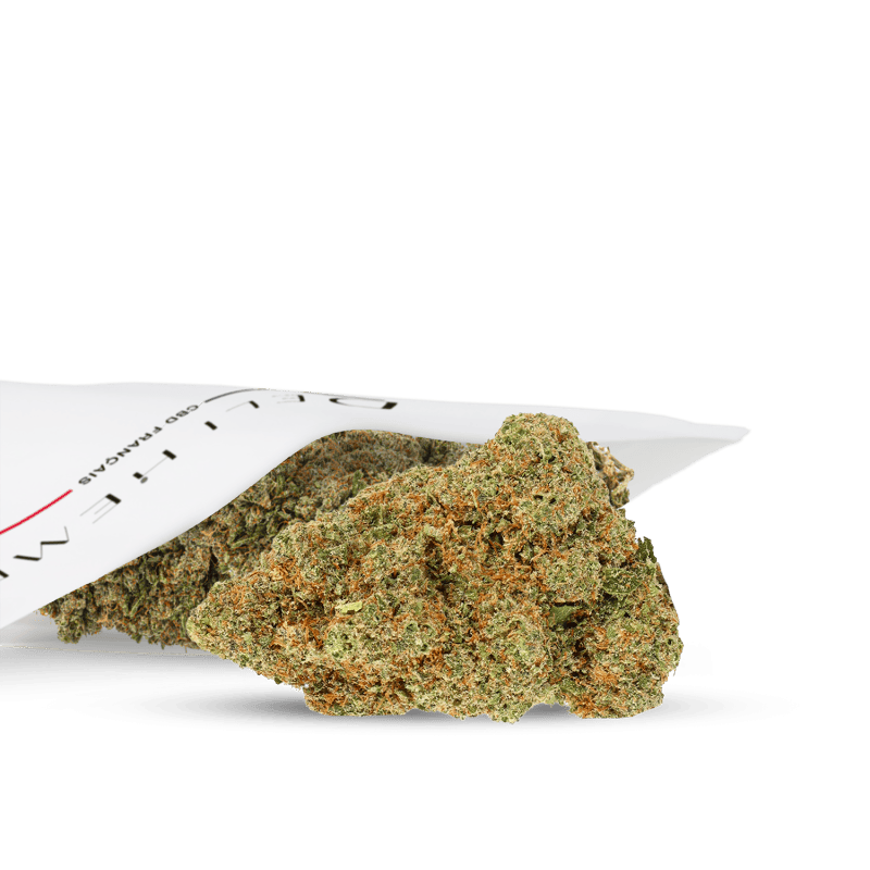 CBD FLORES - GLOOKIES - HYDRO