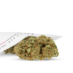 CBD BLUMEN - LIBERTY HAZE - HYDRO pro