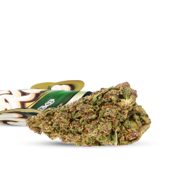 Texture cbd flowers wholesale
