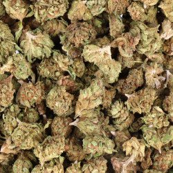 small bud premium chez grossiste cbd