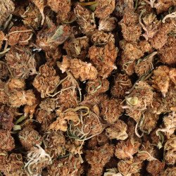 FLEUR CBD SMALL BUD - WHITE WIDOW