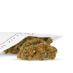 mid bud cbd pas cher