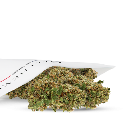 mid bud premium en gros