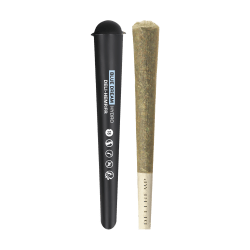 Pre roll - blue dream