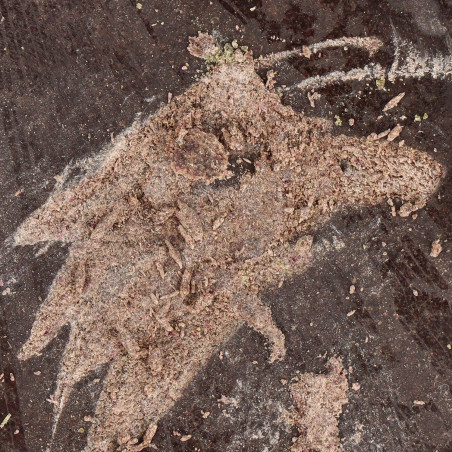 Filtré 90 microns premium