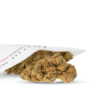 CBD FLOWERS - TANGERINE - HYDRO