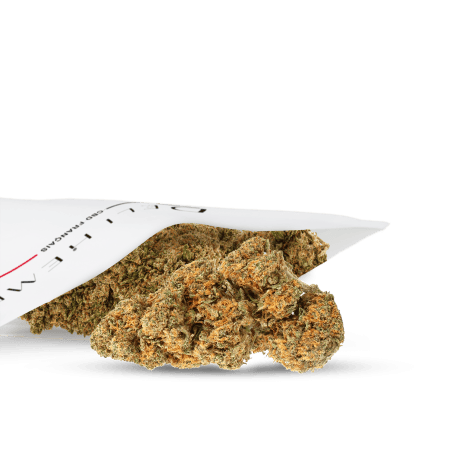 BLUMEN CBD - TANGERINE - HYDRO