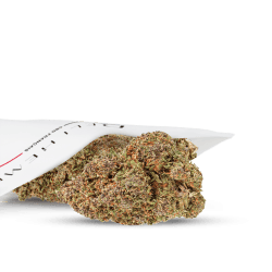 CBD-Hydro-Blumen im Großhandel