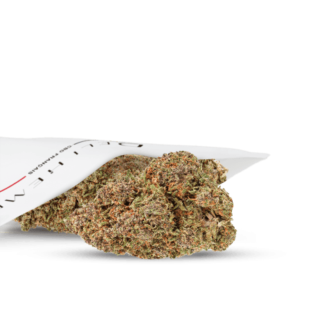 CBD-Hydro-Blumen im Großhandel