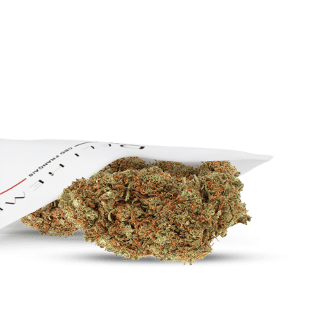 Textuur CBD bloemen groothandel