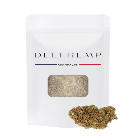 CBD-Blumen im Großhandel indoor