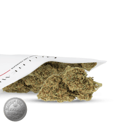 CBD premium