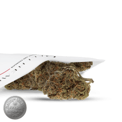 Grossiste CBD primé