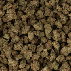 small bud en gros