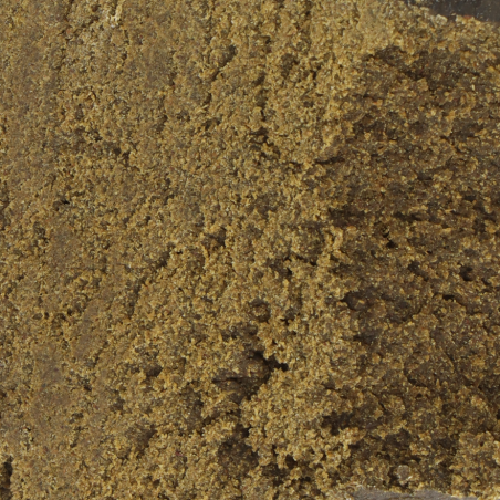 RESINE MAROCAINES
