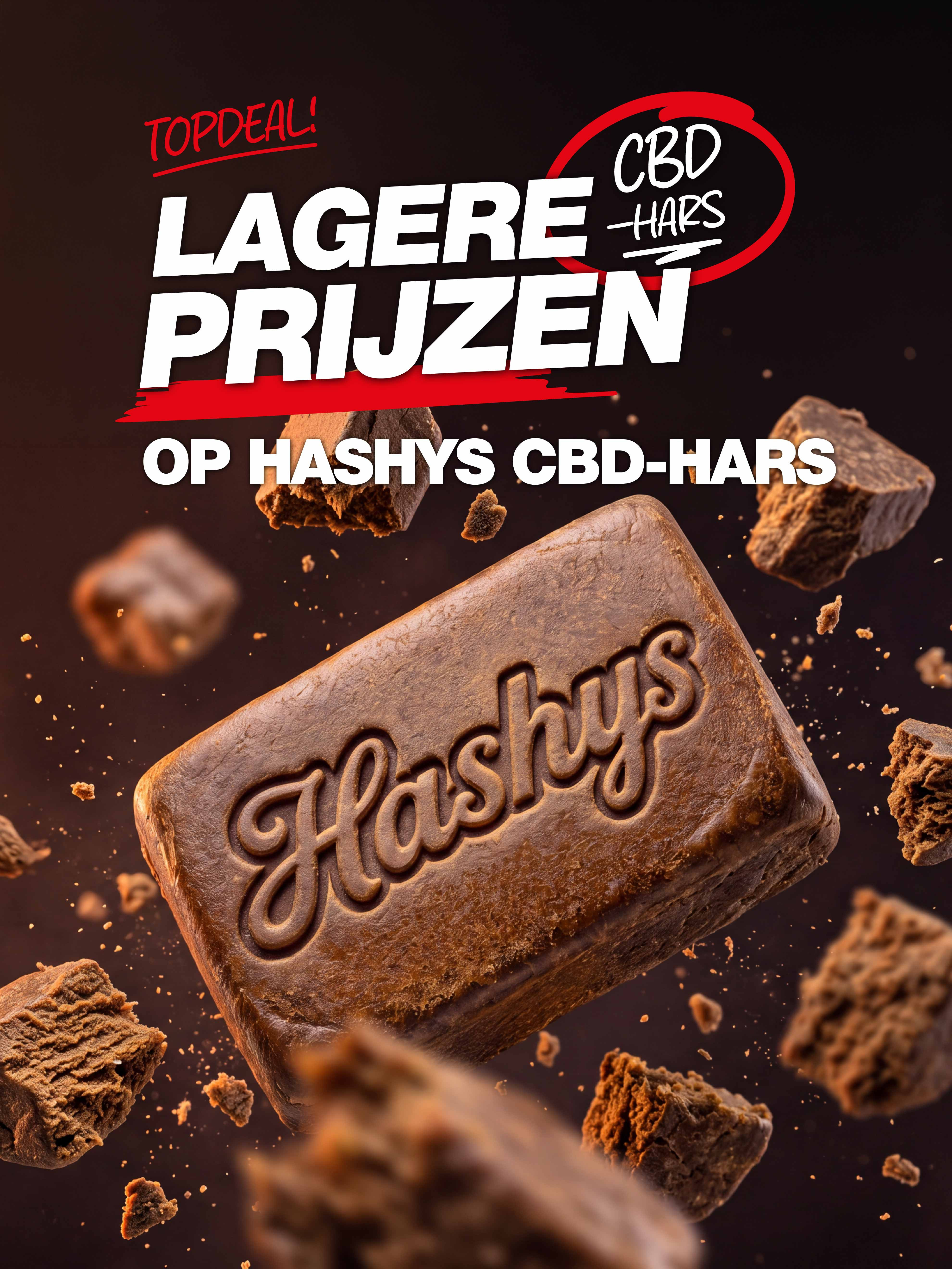PRIJZEN VERLAAGD BIJ HASHYS — Het moeilijkste is kiezen
